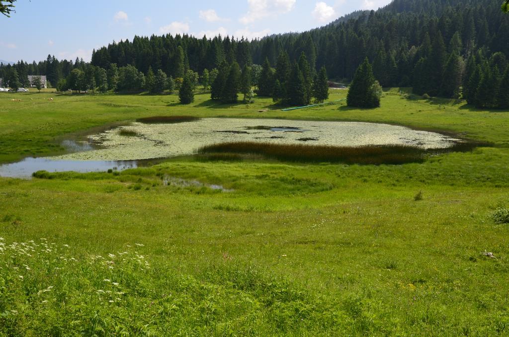 Hotel Due Spade Folgaria Εξωτερικό φωτογραφία